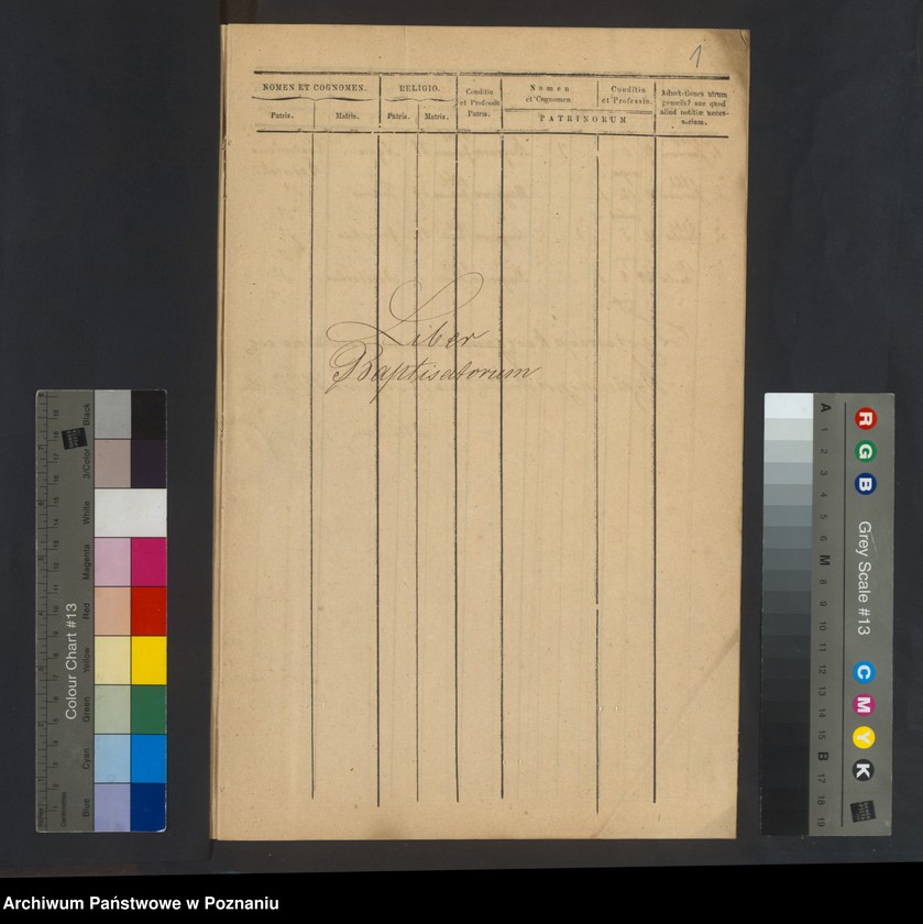 Obraz 3 z jednostki "Liber baptisatorum, copulatorum et mortuorum"