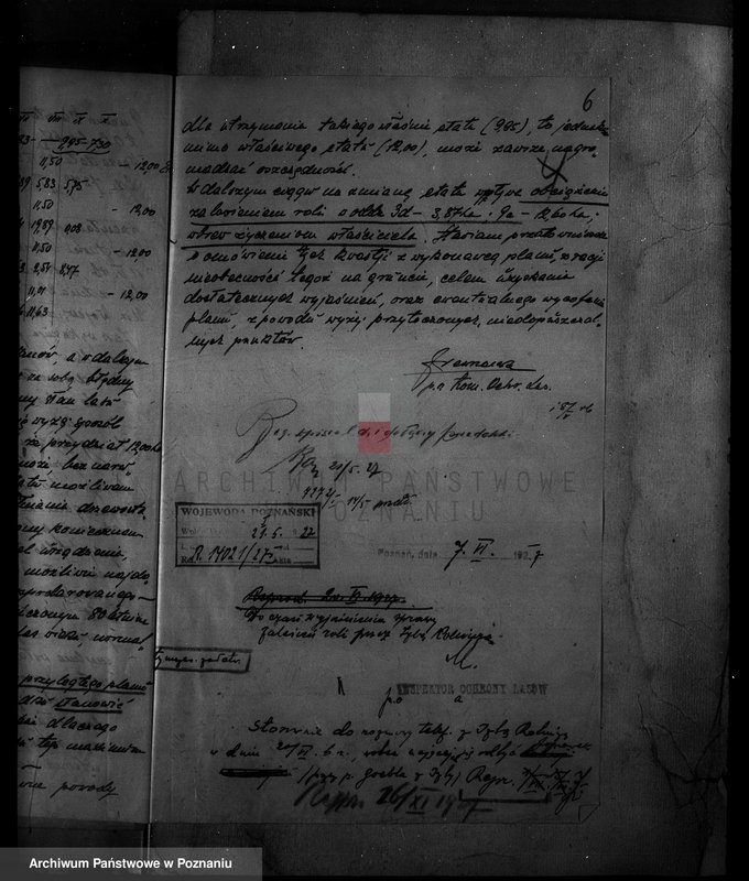 Obraz 10 z jednostki "Majętność /leśna Ossowiec/ powiat mogileński"