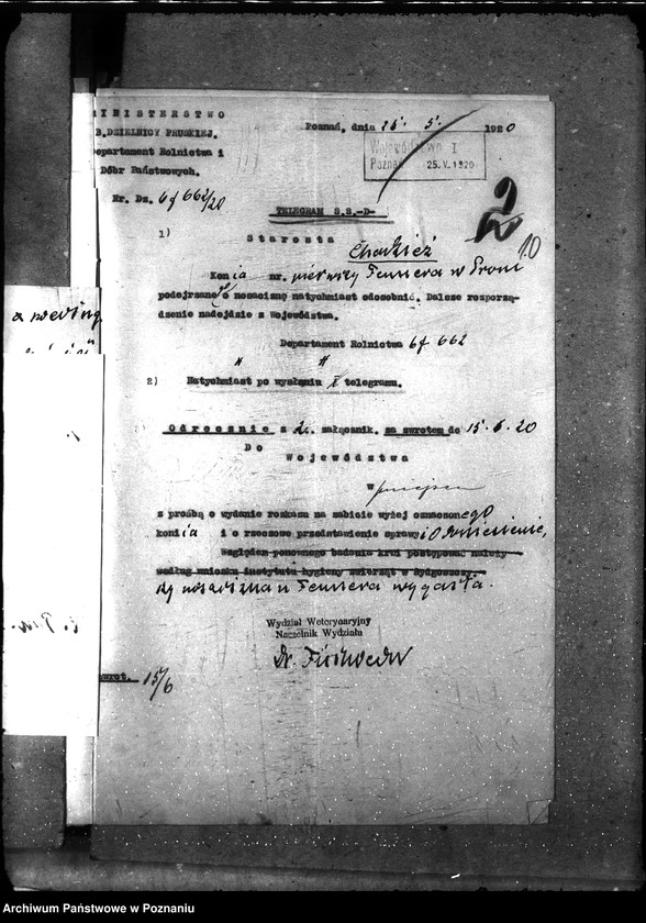 Obraz 15 z jednostki "Nosacizna - Chodzież"