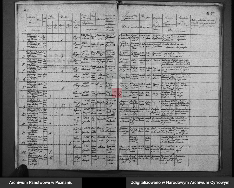 Obraz 6 z jednostki "Duplicatum baptisatorum, copulatorum, mortuorum"