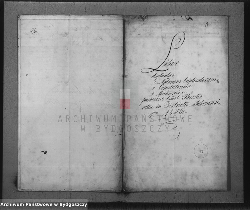 image.from.unit.number "Liber duplicatus 1. Natorum baptisatorum, 2. Copulatorum , 3. Mortuorum Parochiae Cathol. Pacostis sitae in Districtu Szubiniensi pro 1856"