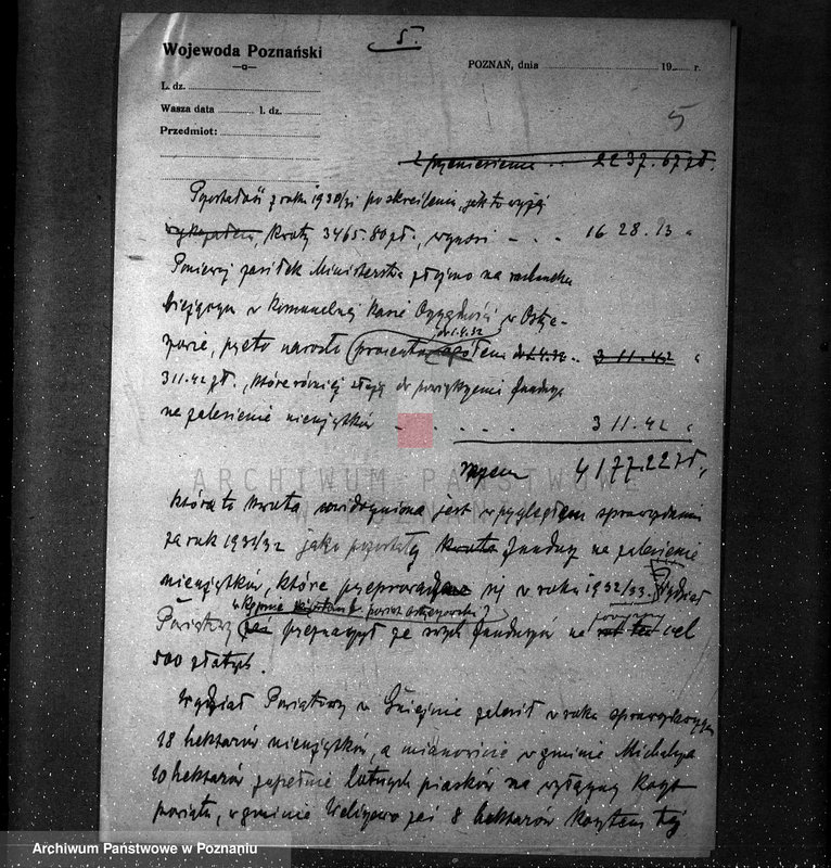 Obraz 9 z jednostki "Zalesienie nieużytków /sprawy ogólne/"