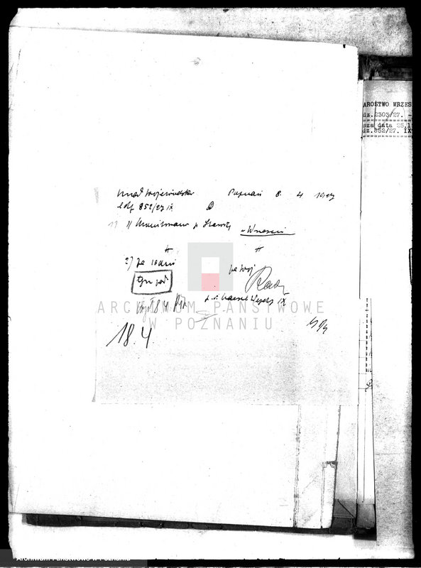 Obraz 15 z jednostki "Poddzierżawy majątku państwowego Pałczyn"