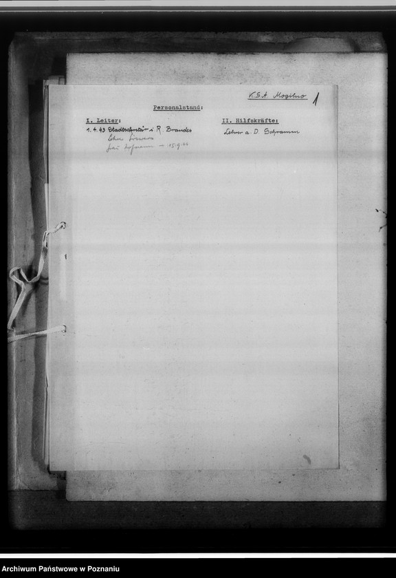 Obraz 5 z jednostki "[Korespondencja w sprawach organizacyjnych], Kreissippenamt Mogilno"