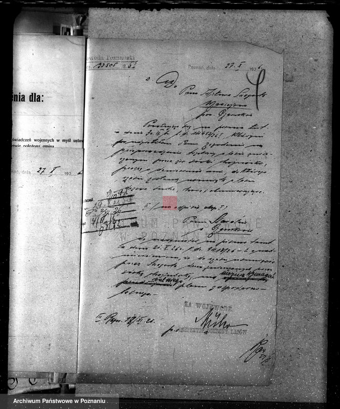 Obraz 8 z jednostki "Nadzór nad lasami majętności Maciejewo w powiecie czarnkowskim"