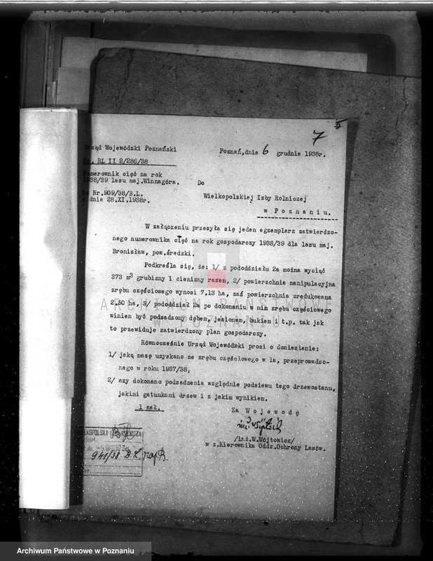 Obraz 11 z jednostki "Majętność leśna Bronisław powiat Środa"