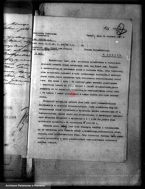 Obraz 16 z jednostki "Nadzór nad gospodarką w lasach majątku Ujazd powiat kościański"