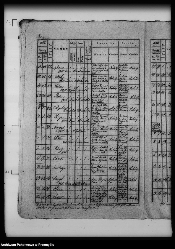 Obraz 15 z jednostki "[Kopie ksiąg metrykalnych parafii Nahujowice (dekanat Drohobycz)]"