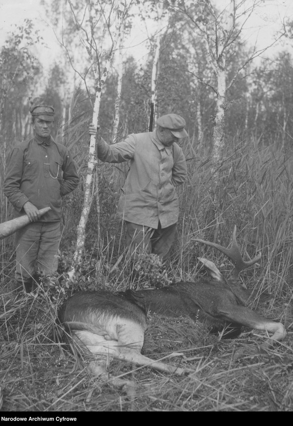 image.from.unit.number "Polowanie na łosie w majątku hrabiego Jarosława Potockiego"