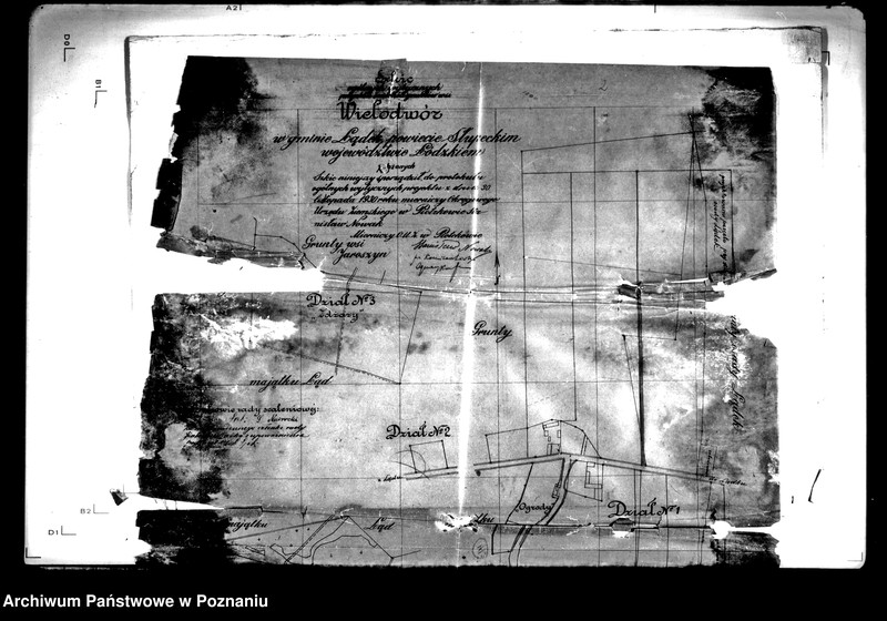 Obraz 8 z jednostki "/Szkic ogólnych wytycznych projektu scalenia wsi Wielodwór powiatu konińskiego oraz plan gruntów wsi Wielodwór/"