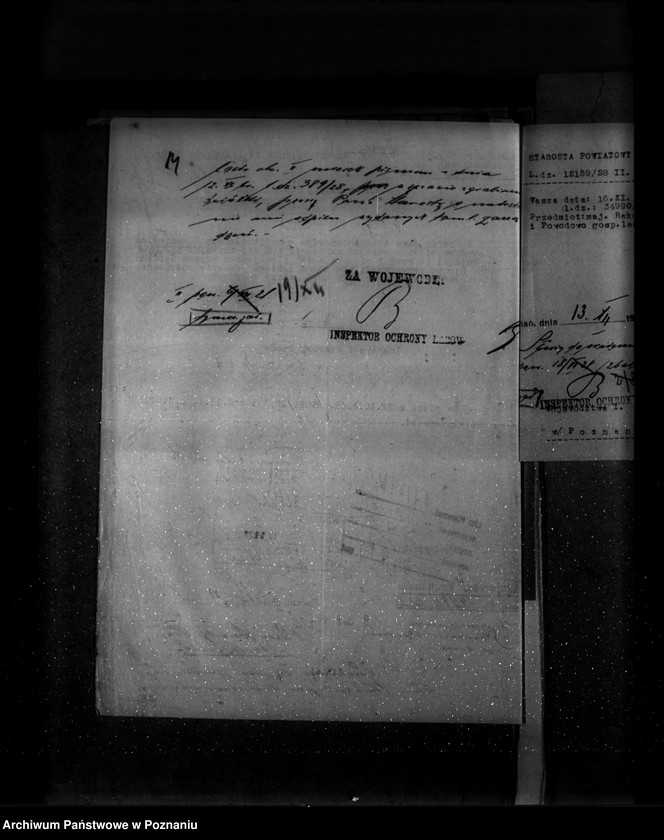 Obraz 18 z jednostki "Majętność leśna Powodowo powiat wolsztyński"