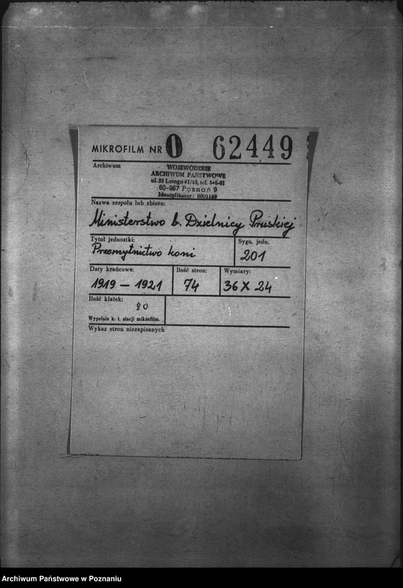 Obraz 2 z jednostki "Przemytnictwo koni"