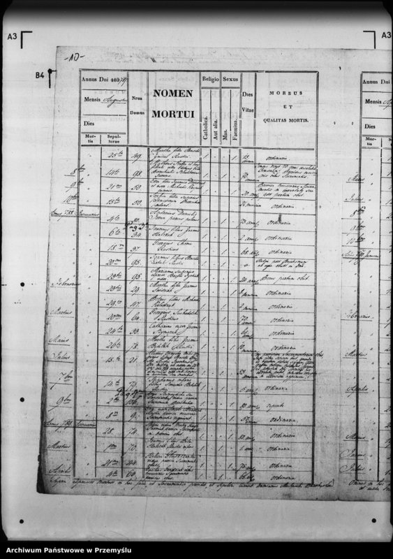 image.from.unit.number "[Kopie ksiąg metrykalnych parafii Jaworki z filiami Biała Woda, Czarna Woda (dekanat Muszyna)]"