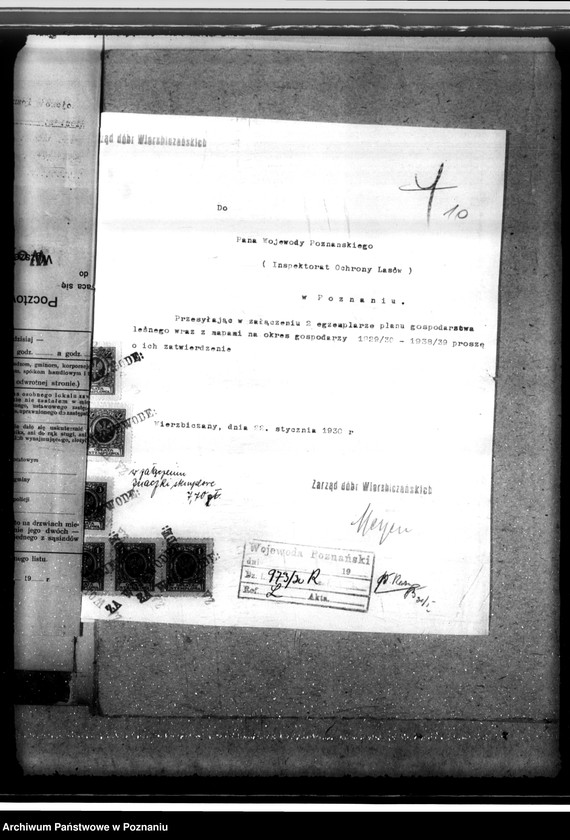 Obraz 14 z jednostki "Las majętności Wierzbiczany w powiecie inowrocławskim"