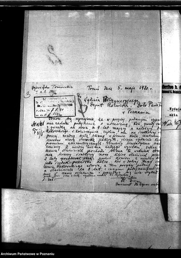 Obraz 7 z jednostki "Nosacizna - Kościerzyna"