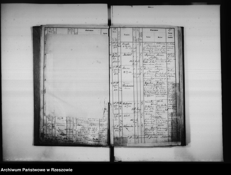 image.from.unit.number "Księga urodzeń Biała, Matysówka, Zalesie Drabinianka, Rzeszów, Tyczyn"