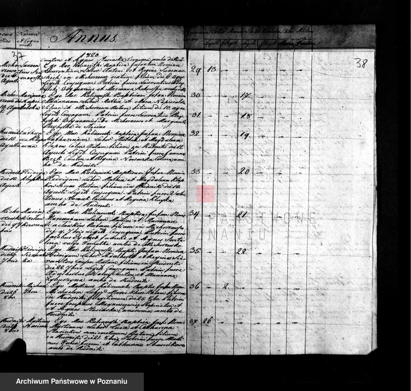 Obraz 20 z jednostki "Liber duplicatus baptisatorum"