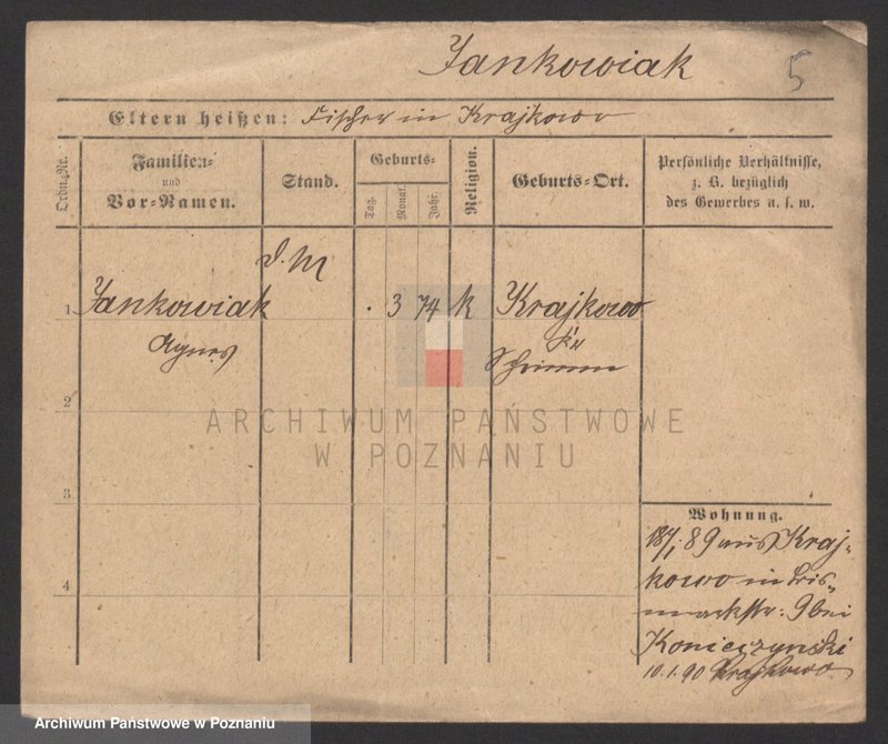 Obraz 5 z jednostki "Jankowiak (samotne kobiety)"