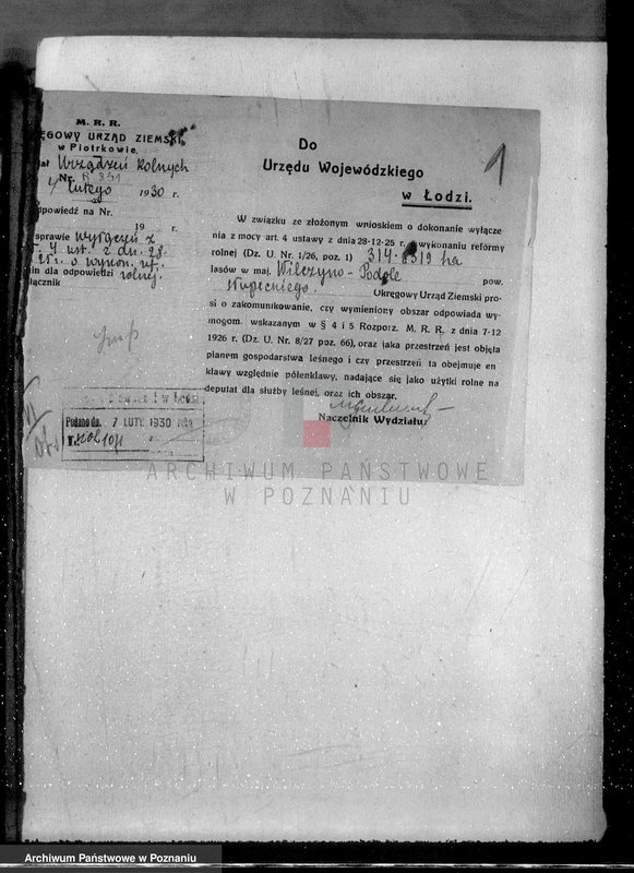 Obraz 6 z jednostki "Ustalenie powierzchni leśnej majątku Wilczyno-Podole powiat słupecki oraz nieprawne wyręby lasu"