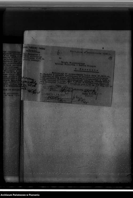 Obraz 15 z jednostki "Gmina Wymysłów powiat koniński /nadzór nad gospodarką leśną/"