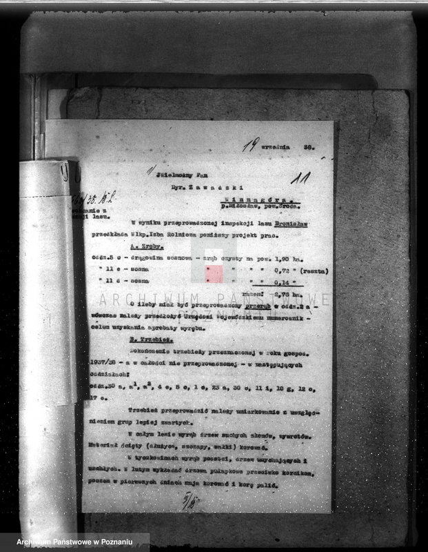 Obraz 15 z jednostki "Majętność leśna Bronisław powiat Środa"