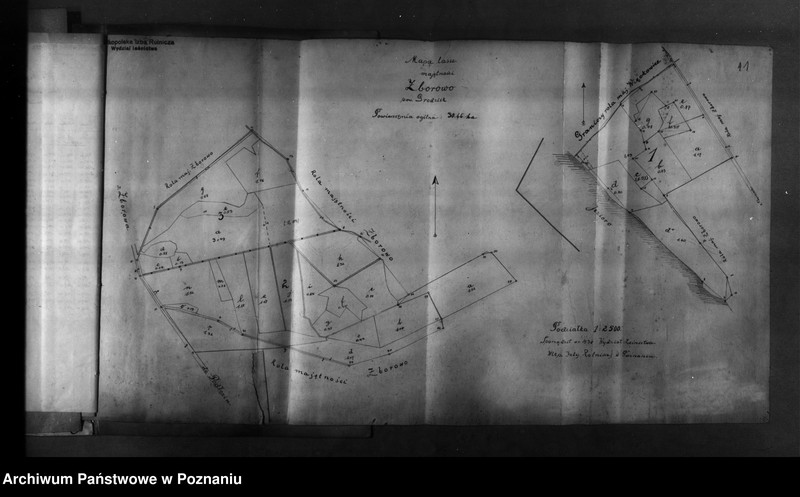 Obraz 15 z jednostki "Majętność leśna Zborowo powiat poznański"