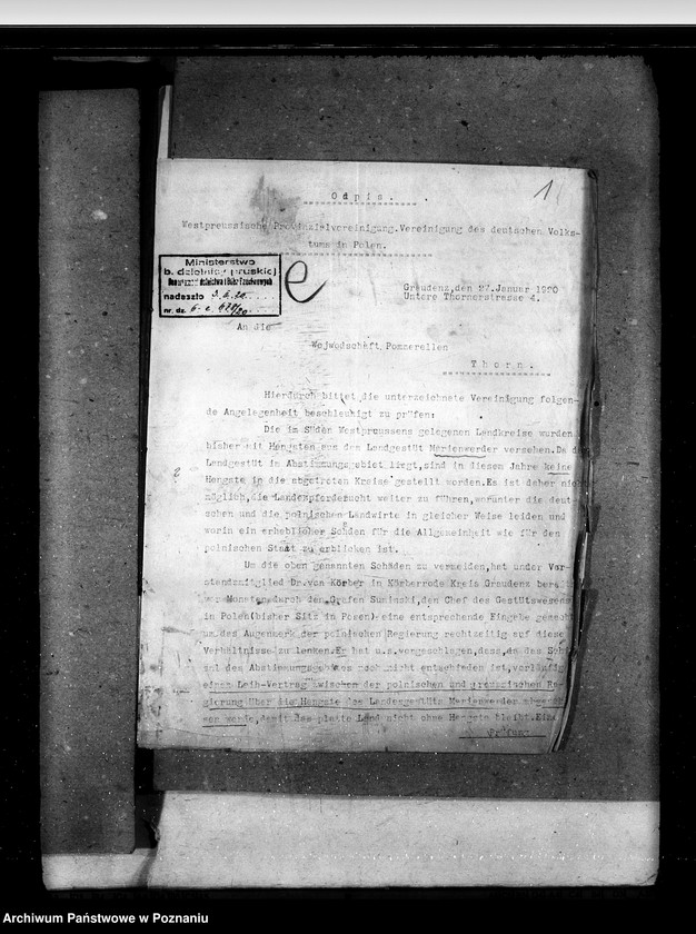 Obraz 5 z jednostki "Zarząd Stadnin Starogard"