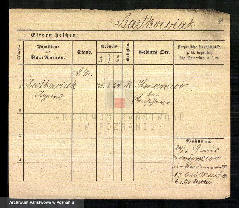 Obraz 13 z jednostki "Bartkowiak (samotne kobiety) - Bartnicz"