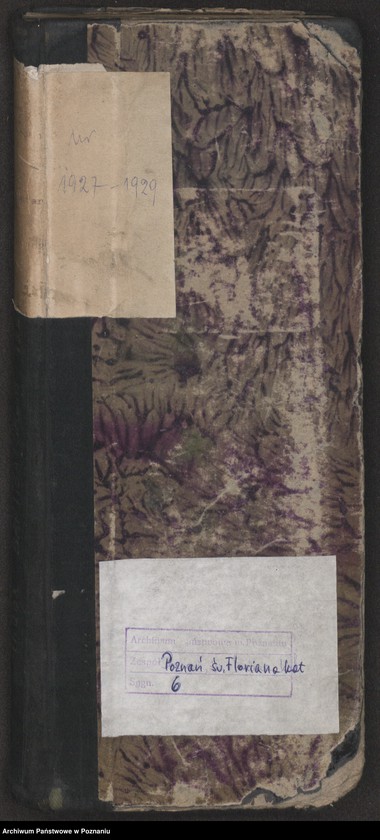 Obraz 2 z jednostki "Indeks urodzeń"