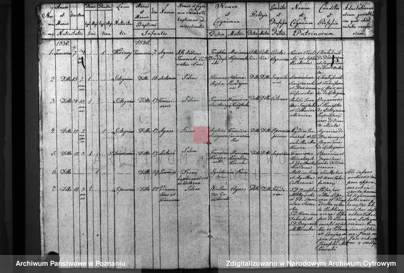 image.from.unit.number "Duplicatum baptisatorum, copulatorum, mortuorum"