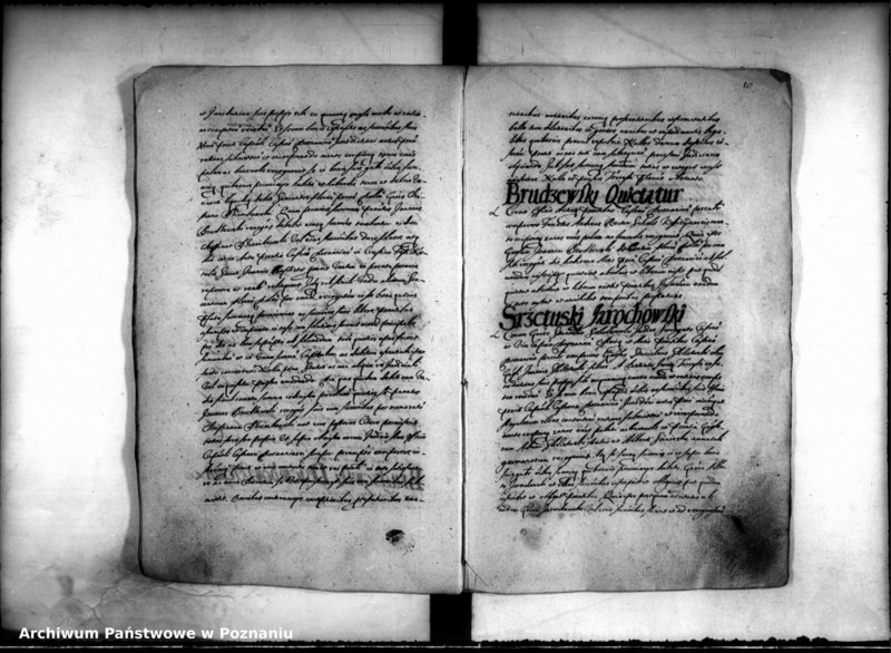 Obraz 12 z jednostki "Inscriptiones [inducta]"