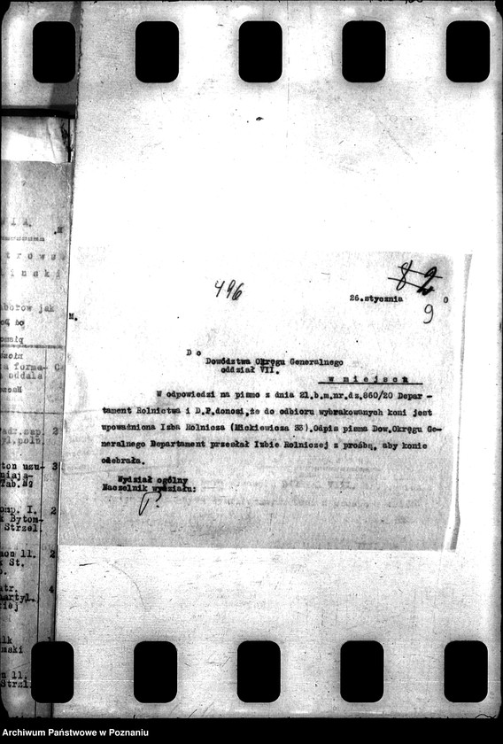 Obraz 13 z jednostki "Konie wojskowe dla ludności cywilnej"