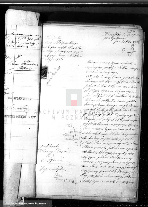image.from.unit.number "Nadzór nad gospodarką w lasach majętności Kwiatków powiat ostrowski"