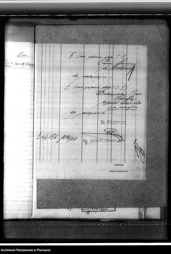 Obraz 5 z jednostki "Majętność leśna Krzyżanki w powiecie gostyńskim"