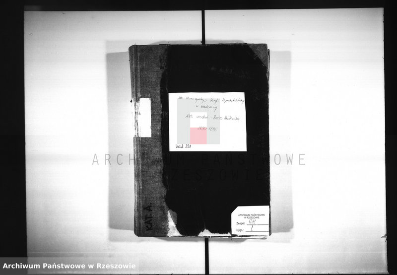 image.from.unit "Akta urodzeń - Brzóza Królewska"