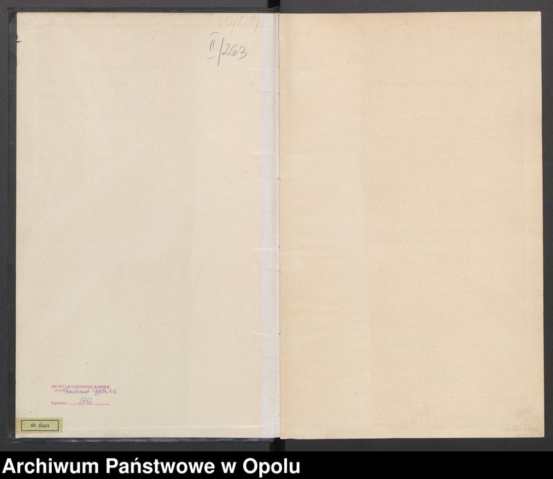 Obraz 3 z jednostki "[Rejestr zgonów] 1918 Tom III Nr 1010-1124"