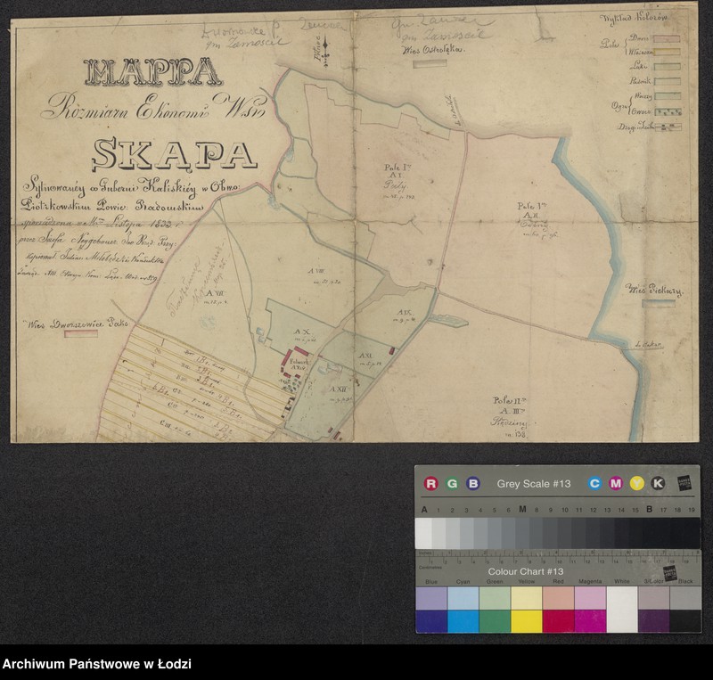 Obraz 1 z jednostki "Mappa rozmiaru ekonomii wsi Skąpa sytuowanej w guberni kaliskiej obwodzie piotrkowskim powiecie radomskowskim"