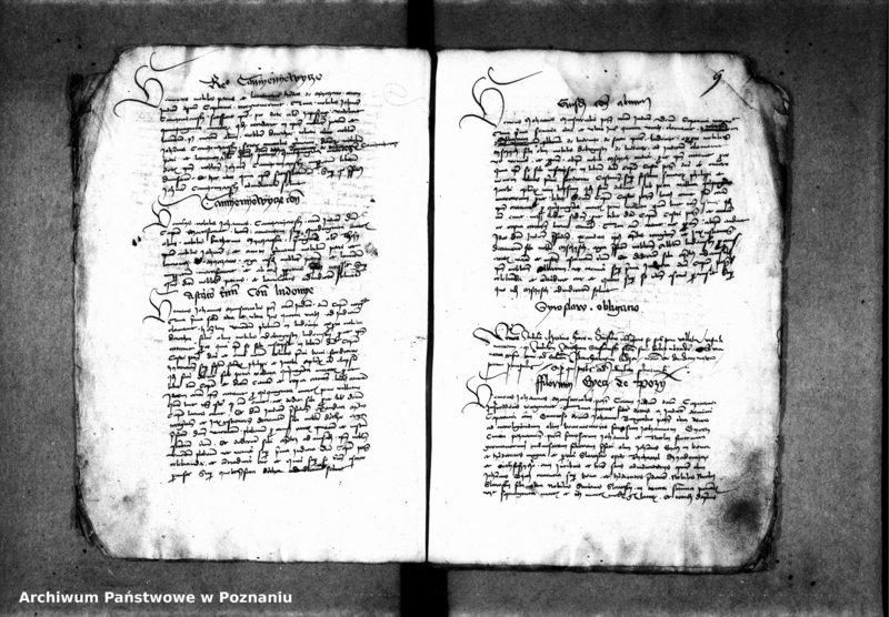 Obraz 13 z jednostki "Inscriptiones, relationes, decreta [protocollon]"