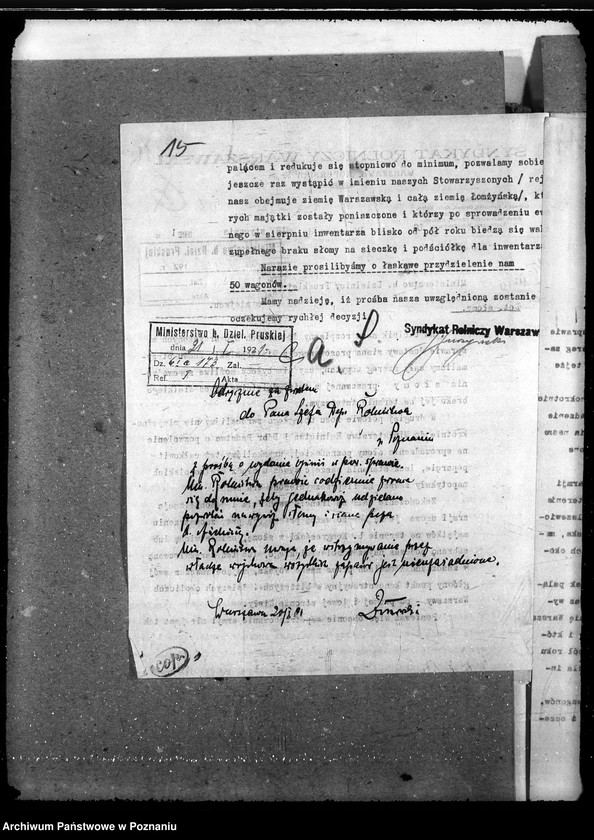 Obraz 19 z jednostki "Słoma i siano"