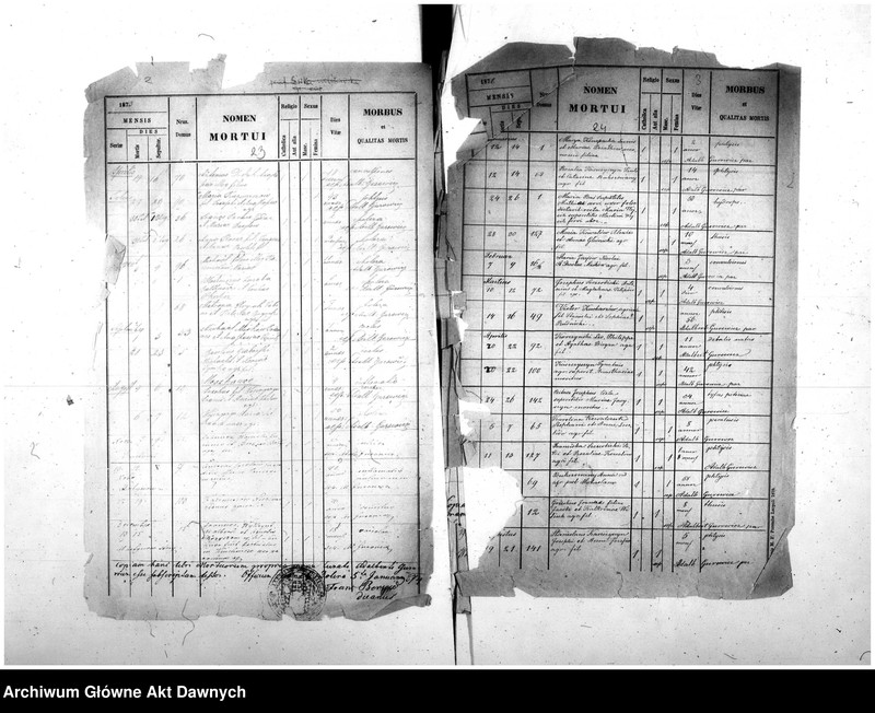 image.from.unit.number "Parafia: różne. Dekanat: różne. Fragmenty akt różnych parafii archidiecezji lwowskiej: 1. Gródek Jagielloński (dek. Gródek) - fragment (prawdopodobnie ekstrakt) księgi urodzeń z lat 1862-1863, 9 s.; 2. Kobylnica/Fehlbach (dek. Lubaczów) - fragment (prawdopodobnie ekstrakt) księgi urodzeń z lat 1901-1904, 1906-1908, 26 s.; 3. Martynów Nowy (dek. Dolina) - fragment księgi zgonów 1871, 1873, 5 s.; 4. Nadwórna (dek. Stanisławów) - fragment księgi urodzeń 1890, 9 s.; 5. Podhajce (dek. Podhajce) - fragment księgi zgonów 1899, 8 s.; 6. Podhorce (dek. Brody) - fragment księgi ślubów 1899-1900, 7 s.; 7. Stanisławów (dek. Stanisławów) - fragment (ekstrakt) księgi zgonów 1876 (pośw. 1877), s. 20; 8. Św. Stanisław (dek. Stanisławów) - fragment (ekstrakt) księgi urodzeń 1929, 2 s.; 9. Tyśmienica (dek. Stanisławów) - fragment księgi zgonów 1876, 2 s.; 10. Załoźce (dek. Brody) - fragment księgi ślubów, lata osiemdziesiąte XIX w., szczątek, 2 s.; 11. Śniatyn (dek. Horodenka) - fragment księgi urodzeń 1882, szczątek 2 s.; 12. Zawałów (dek. Skałat) - fragment (ekstrakt) księgi zgonów 1914, 3 s.; 13. Złotniki (dek. Podhajce) - fragment księgi zgonów 1891, 1 s.."