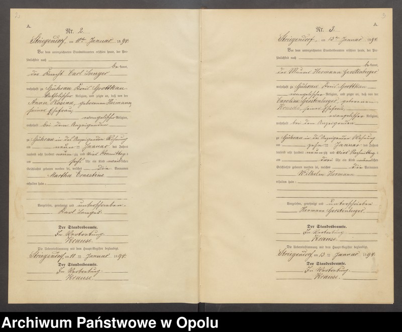Obraz z jednostki "Geburts-Neben-Register Standesamts Striegendorf pro 1894"