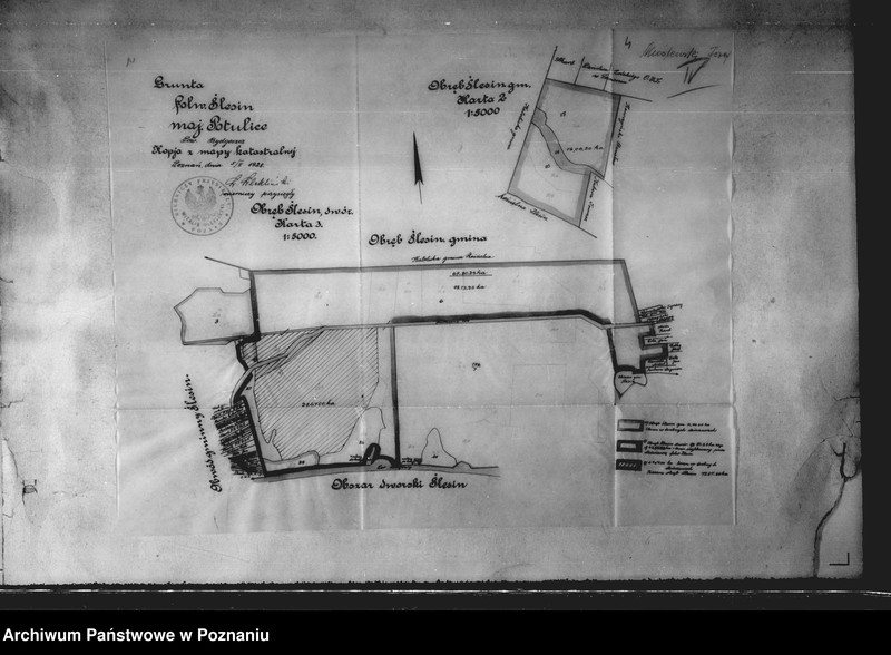 Obraz 8 z jednostki "Majętności Potulice powiatu bydgoskiego przymusowy wykup"