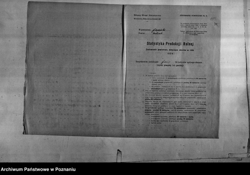 Obraz 17 z jednostki "/Statystyka produkcji rolnej - zestawienie powiatowe - Szubin"