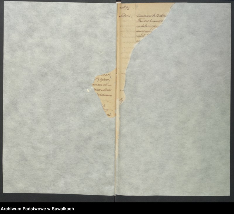 image.from.unit "Duplikat Lozdzejskago Rimsko- katoličeskago Prichoda s 1874 goda  [Akta urodzeń, małżeństw i zgonów]"