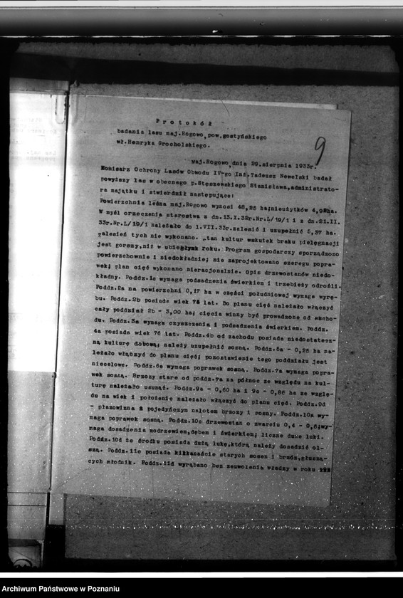 Obraz 13 z jednostki "Nadzór nad gospodarką w lasach majętności Rogowo w powiecie gostyńskim"