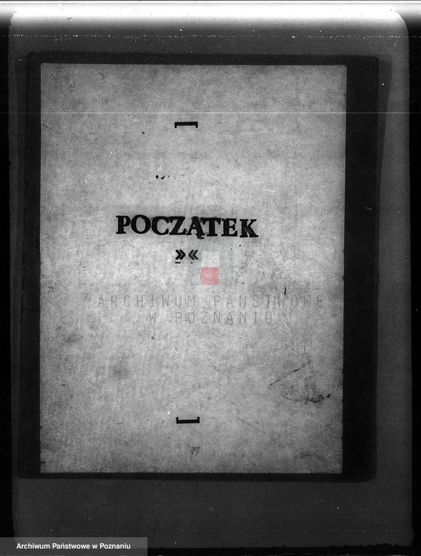 Obraz 3 z jednostki "Majętność leśna Mniszki w powiecie międzychodzkim"