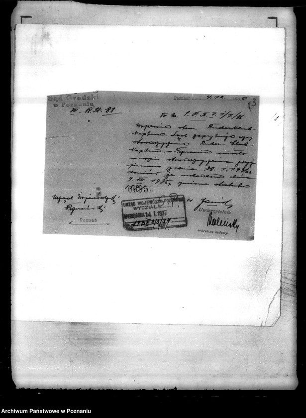 Obraz 7 z jednostki "/Klub Sportowy,,Germania" w Poznaniu/"