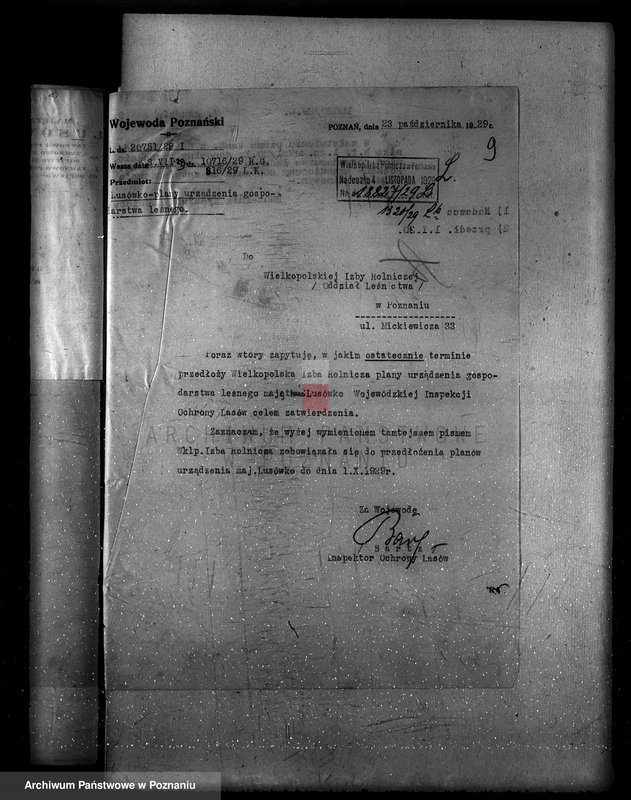 Obraz 13 z jednostki "Zarząd majętności Lusówko powiat poznański/ nadzór nad gospodarką leśną/"