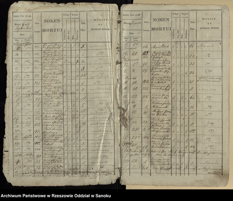 image.from.unit.number "Księga zgonów dla miejscowości Olchowce"