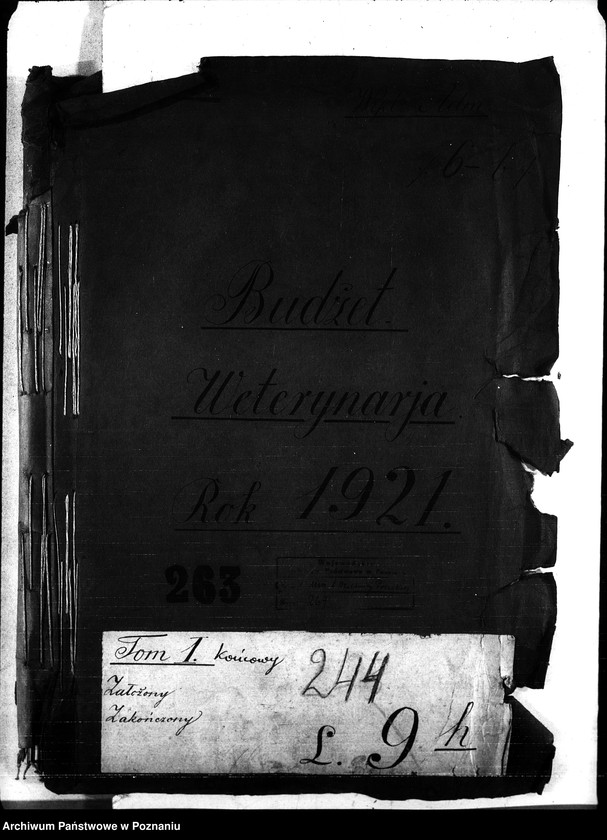 Obraz 4 z jednostki "Budżet weterynaria na rok 1921"